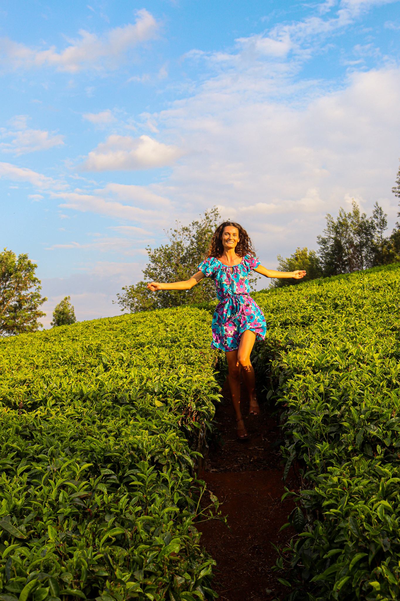 Stunning Tea Farms, Horse Ride, and Picnic in Tigoni Nairobi Kenya